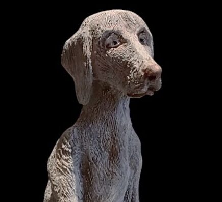 Hond